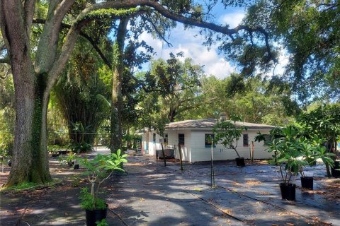 Land in Seffner, Florida № 1678502 - photo 21