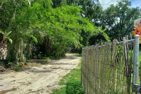 Land in Seffner, Florida № 1678502 - photo 13