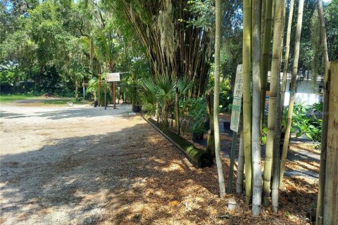 Land in Seffner, Florida № 1678502 - photo 8