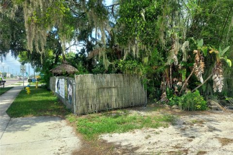 Land in Seffner, Florida № 1678502 - photo 16