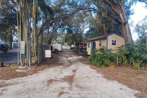 Land in Seffner, Florida № 1678502 - photo 10