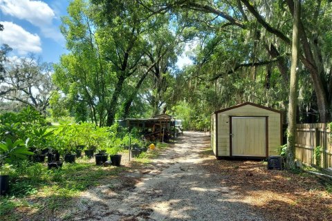 Land in Seffner, Florida № 1678502 - photo 22