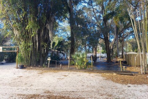 Land in Seffner, Florida № 1678502 - photo 1