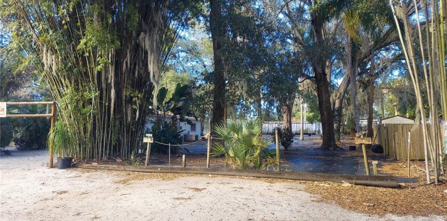 Land in Seffner, Florida № 1678502