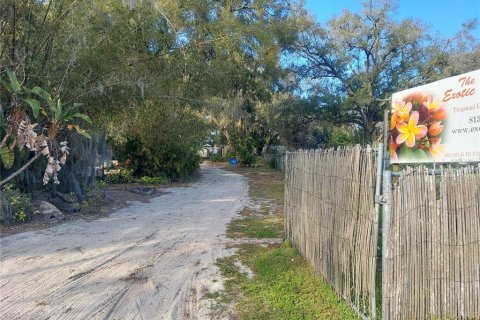 Land in Seffner, Florida № 1678502 - photo 4