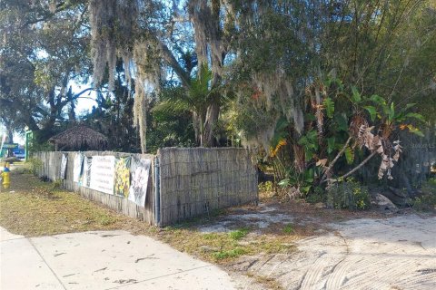 Land in Seffner, Florida № 1678502 - photo 5