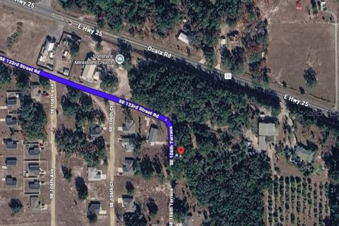 Land in Belleview, Florida № 2215935 - photo 3