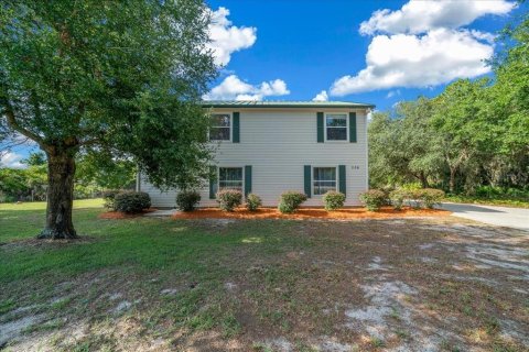House in Ocklawaha, Florida 3 bedrooms, 199.83 sq.m. № 2207554