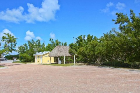 Terrain à vendre à Marathon, Floride № 1978184 - photo 6
