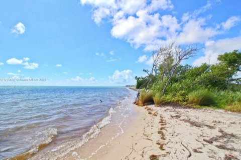 Terrain à vendre à Marathon, Floride № 1978184 - photo 3