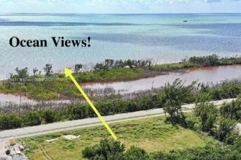 Terrain à vendre à Marathon, Floride № 1978184 - photo 7