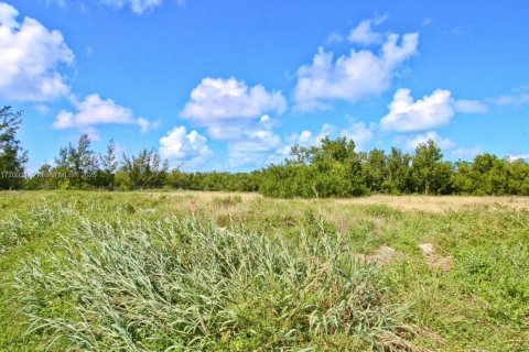 Terrain à vendre à Marathon, Floride № 1978184 - photo 4