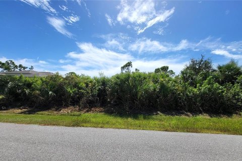 Land in Port Charlotte, Florida № 2379495 - photo 4