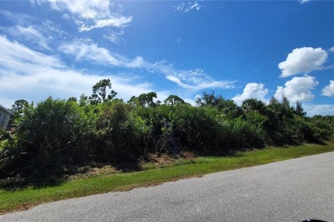 Land in Port Charlotte, Florida № 2379495 - photo 5