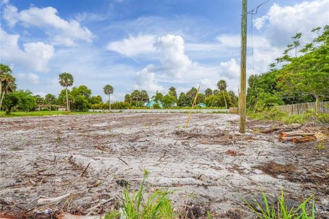 Land in Vero Beach, Florida № 1776705 - photo 3
