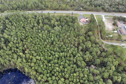 Terreno en venta en Ocala, Florida № 1549132 - foto 4