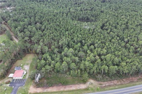 Terreno en venta en Ocala, Florida № 1549132 - foto 2
