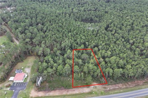 Terreno en venta en Ocala, Florida № 1549132 - foto 1