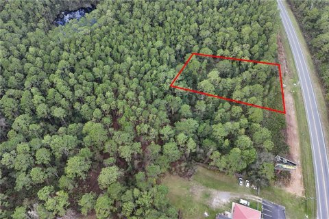Terreno en venta en Ocala, Florida № 1549132 - foto 5