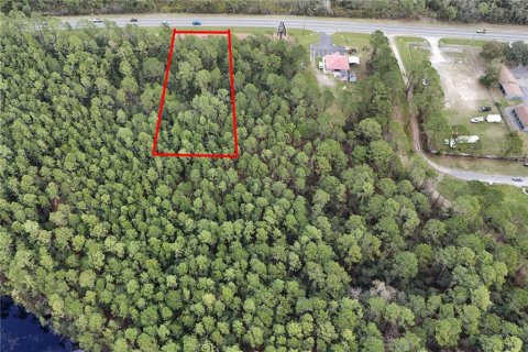 Terreno en venta en Ocala, Florida № 1549132 - foto 3