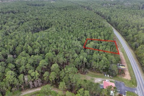 Terreno en venta en Ocala, Florida № 1549132 - foto 7