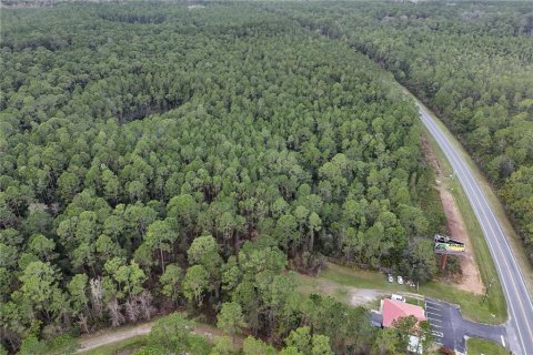 Terreno en venta en Ocala, Florida № 1549132 - foto 8