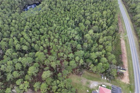 Terreno en venta en Ocala, Florida № 1549132 - foto 6