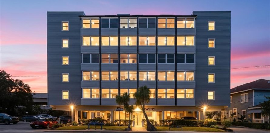 Condo à Saint Petersburg, Floride, 1 chambre № 2096281
