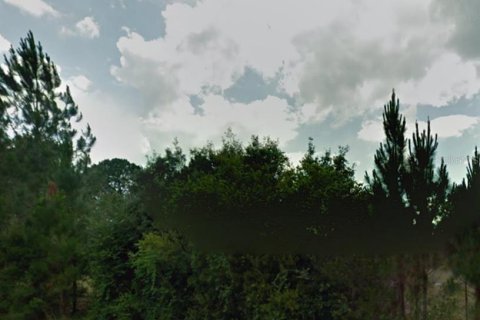 Land in Poinciana, Florida № 212798 - photo 1
