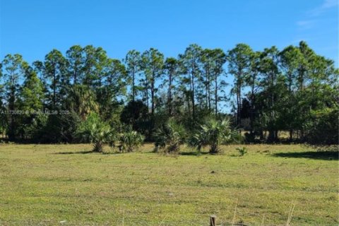 Commercial property in Clewiston, Florida № 1894255 - photo 16