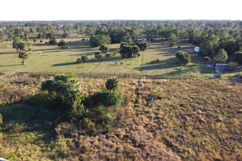 Commercial property in Clewiston, Florida № 1894255 - photo 14