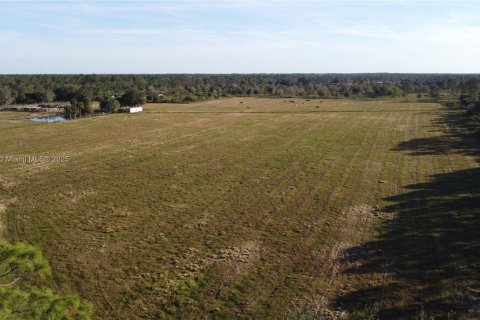 Commercial property in Clewiston, Florida № 1894255 - photo 5