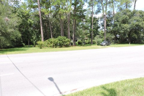 Land in Jacksonville, Florida № 770200 - photo 1