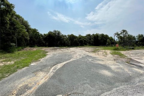 Immobilier commercial à louer à Mount Dora, Floride: 5408.96 m2 № 1782591 - photo 12