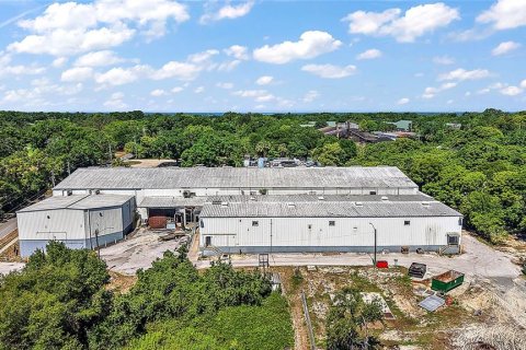 Immobilier commercial à louer à Mount Dora, Floride: 5408.96 m2 № 1782591 - photo 1