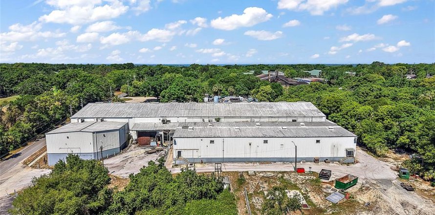Immobilier commercial à Mount Dora, Floride 5408.96 m2 № 1782591