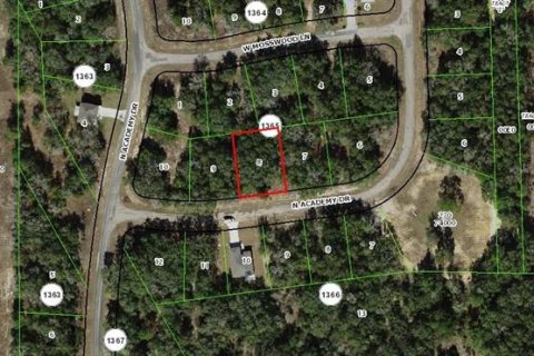 Land in Citrus Springs, Florida № 2162768