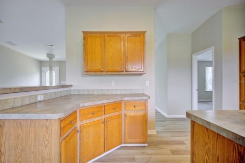 Villa ou maison à vendre à Wauchula, Floride: 4 chambres, 204.76 m2 № 2323191 - photo 13