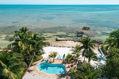 Купить виллу или дом в Исламорада, Вилладж оф Айлендс, Флорида 4 спальни, 243.78м2, № 1989141 - фото 4