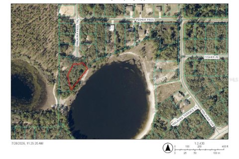 Land in Ocklawaha, Florida № 2203604 - photo 8
