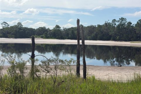 Land in Ocklawaha, Florida № 2203604