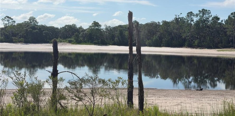 Land in Ocklawaha, Florida № 2203604