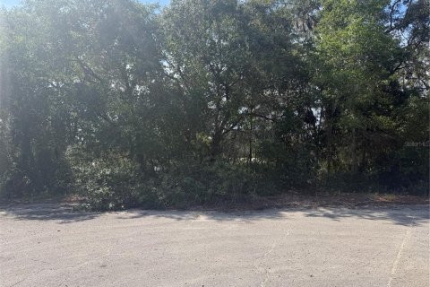 Land in Ocklawaha, Florida № 2203604 - photo 4
