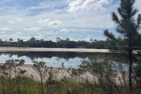Land in Ocklawaha, Florida № 2203604 - photo 3