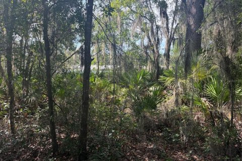 Land in Ocklawaha, Florida № 2203604 - photo 6
