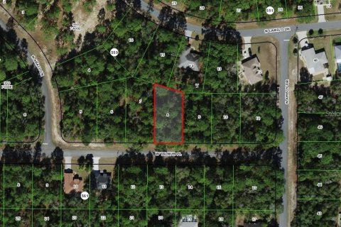 Land in Citrus Springs, Florida № 2166150
