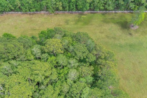 Land in Elkton, Florida № 765545 - photo 1