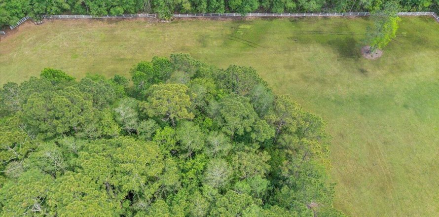 Land in Elkton, Florida № 765545