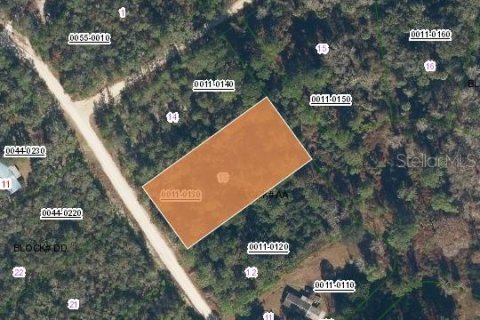 Terreno en Georgetown, Florida № 2164427