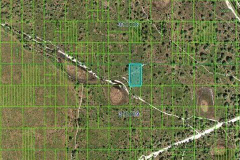 Land in Frostproof, Florida № 2226952 - photo 2